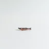 Mogutable Selects Grilled Fish Chopstick Rest Best