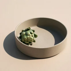 Hasami Porcelain 8.6