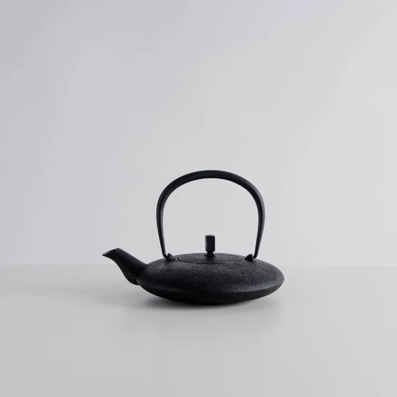 Kukan Chuzo / Hisao Iwashimizu Nambu Tekki Cast Iron Moon Teapot Online