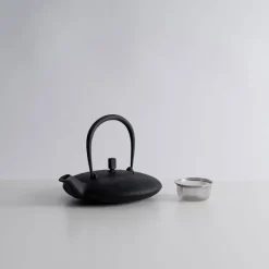 Kukan Chuzo / Hisao Iwashimizu Nambu Tekki Cast Iron Moon Teapot Online
