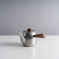 Miyazaki Seisakusho Single Serve Teapot in Matte Silver Best