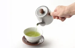 Miyazaki Seisakusho Single Serve Teapot in Matte Silver Best