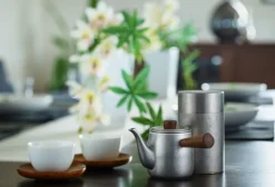 Miyazaki Seisakusho Single Serve Teapot in Matte Silver Best