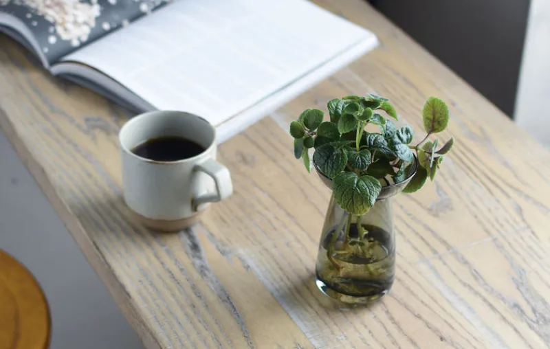 Kinto Small Aqua Culture Vase Online