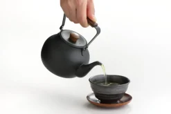Miyazaki Seisakusho Teapot with Wooden Handle in Black Online